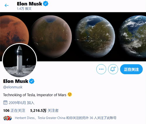 特斯拉Model 3欧洲市场强势领跑，马斯克发声彰显品牌自信